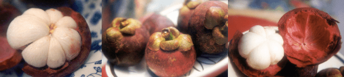 Close-up of an open mangosteen