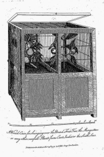 Illustration of two vintage wooden boîtes peuplées