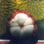 mangosteen open fruit